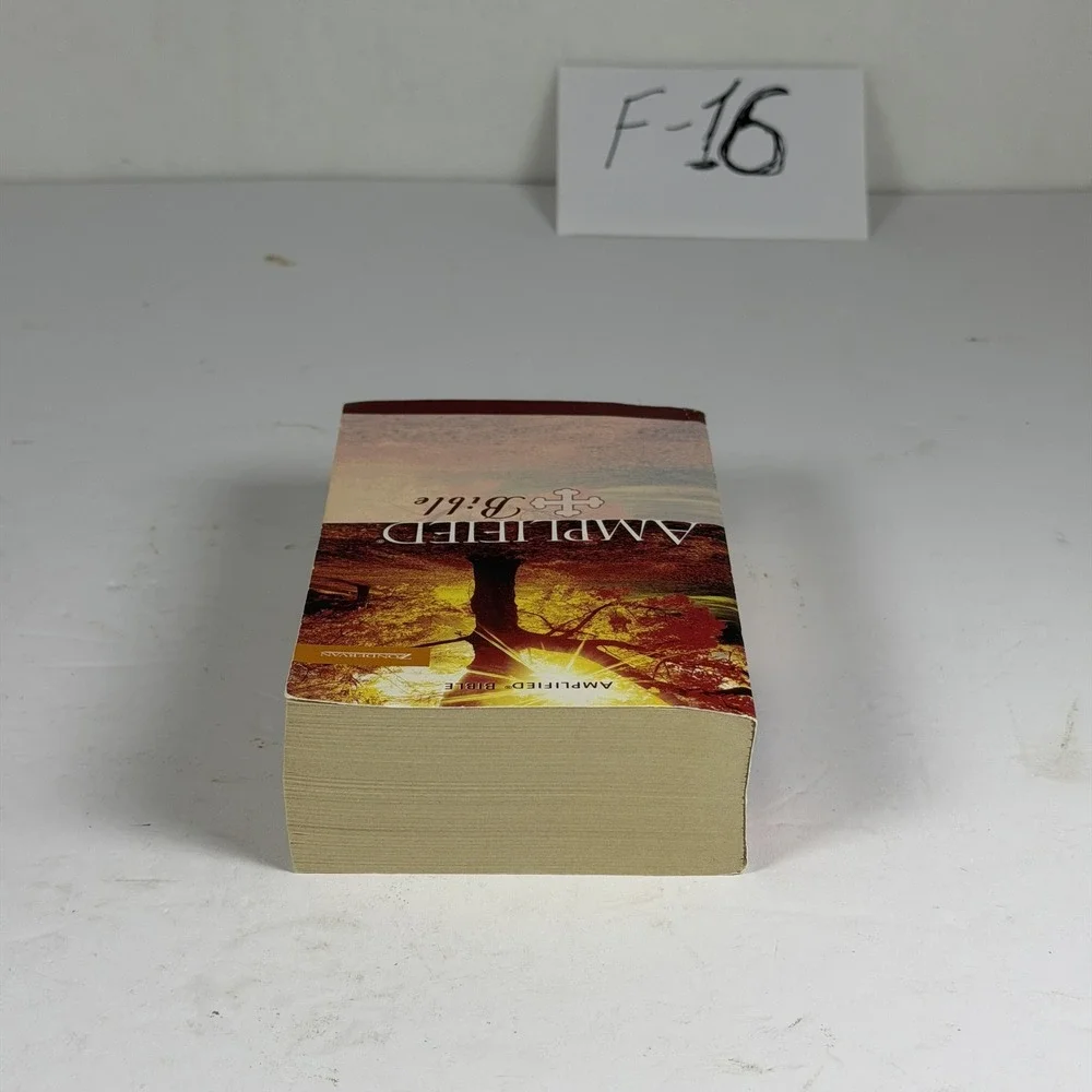 Amplified Bible Zondervan Compact Edition F-16